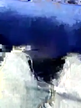 honeypani online show from February 1, 8:35 am