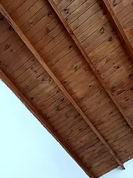 Noja2384 online show from January 12, 1:59 pm