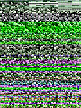 Wassimdz410 online show from March 13, 11:29 am