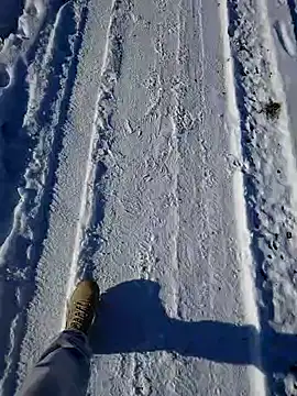 Snapshot of Erz84 chatting on February 19, 12:25 am Erz84 online show from February 19, 12:25 am