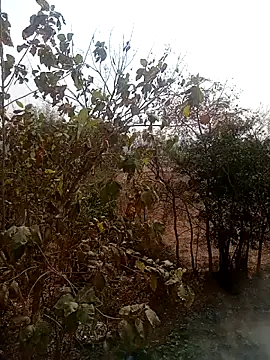 DesiPlayboy09 online show from February 22, 8:27 am