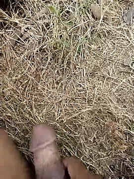 ankit barma009 online show from February 3, 9:03 am