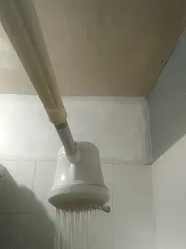 TU PITUDO FAV BB 19CM online show from March 2, 6:58 am