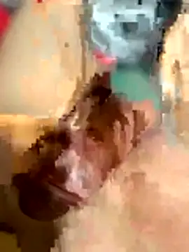 Hamzarysb online show from April 11, 4:21 pm