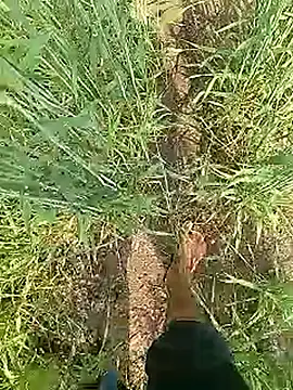 Cute Boy 4 online show from February 4, 6:52 am