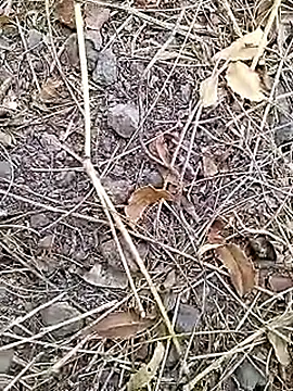 Cute Boy 4 online show from April 8, 7:41 am