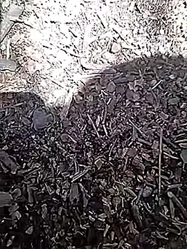 Cute Boy 4 online show from April 15, 8:14 am