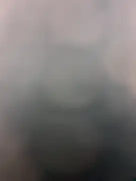 bigbooietx online show from February 15, 8:02 am