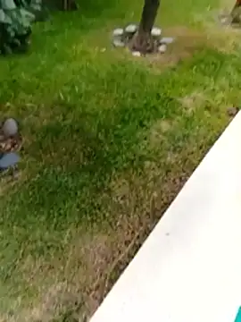 gordorichard online show from February 23, 6:09 pm