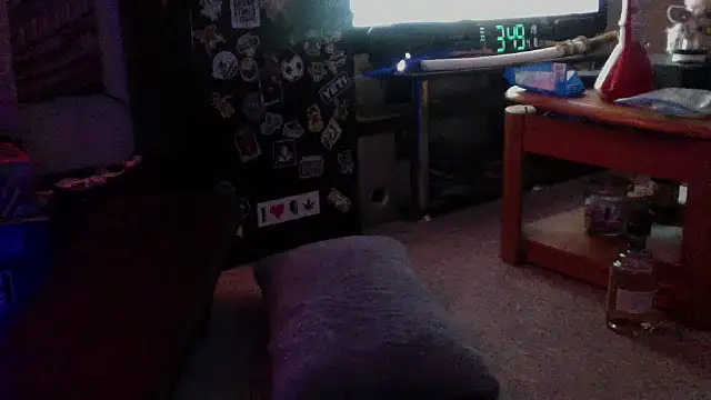 dixiedevin online show from April 8, 9:52 am