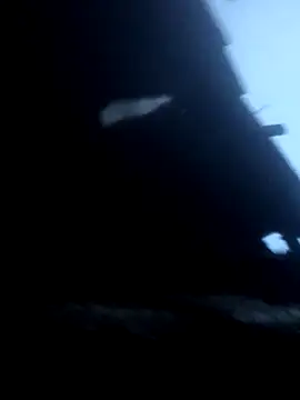 euchapo99 online show from February 16, 9:24 pm