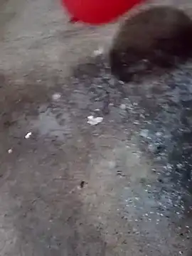 gonzalez1018 online show from April 27, 2:13 pm