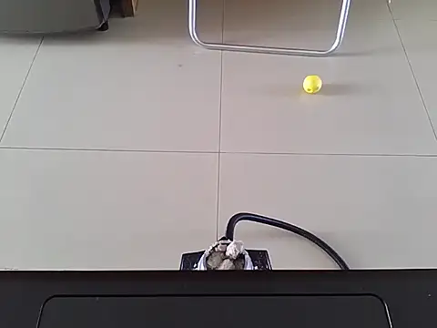 machodotado97 online show from March 5, 4:58 pm