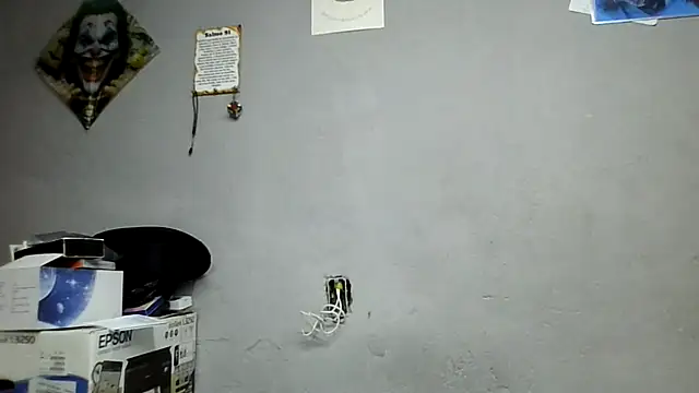 UrsoBissexualPauGrosso online show from May 14, 2:31 am