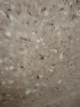 lion271998 online show from March 2, 4:12 am