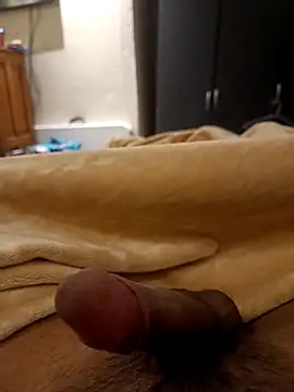 abel-3010 online show from April 12, 9:11 am