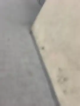 PublicMarekFlashDick online show from April 7, 6:24 am