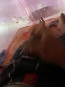 badgirl0808 online show from March 16, 3:24 am