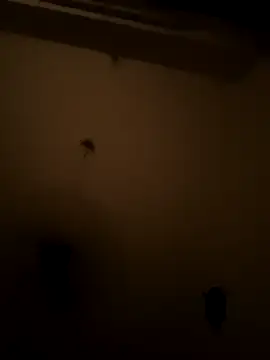 playboyrah online show from April 3, 10:06 pm