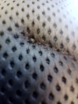 ejthedancer online show from March 24, 5:29 pm