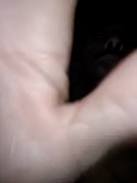 Willybigcock1981 online show from April 15, 8:58 am