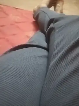 bossmagi online show from November 13, 10:20 am