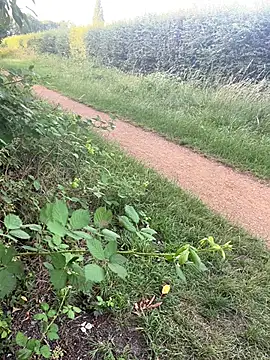 nude Ak online show from June 24, 6:22 pm