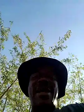 Rod Gorilla online show from July 26, 10:56 am