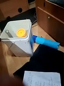 ExoticCarpark online show from September 27, 6:17 pm