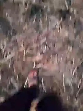 Snapshot of ThethunderPo chatting on December 24, 11:49 am ThethunderPo online show from December 24, 11:49 am