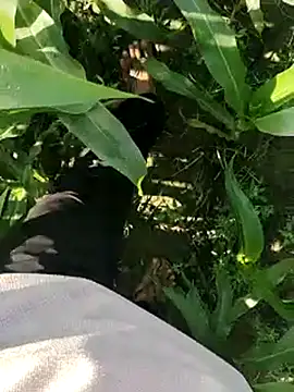 Snapshot of ThethunderPo chatting on March 19, 2:48 am ThethunderPo online show from March 19, 2:48 am