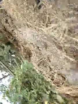 Snapshot of ThethunderPo chatting on February 21, 11:44 am ThethunderPo online show from February 21, 11:44 am