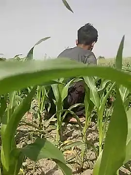 Snapshot of ThethunderPo chatting on March 5, 8:10 am ThethunderPo online show from March 5, 8:10 am