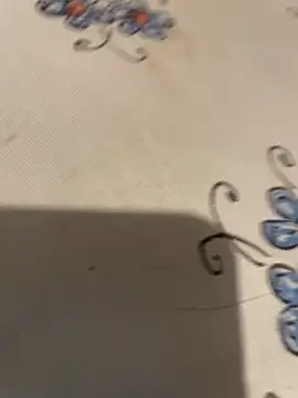 descret 19 online show from April 25, 4:04 pm