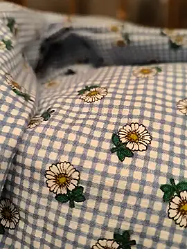 geilerboy2628 online show from March 13, 2:08 am