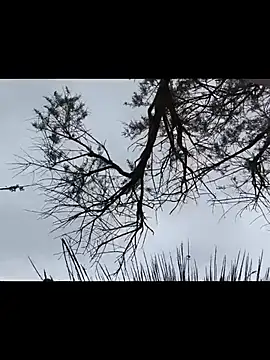 gerri2000 online show from April 18, 3:46 pm