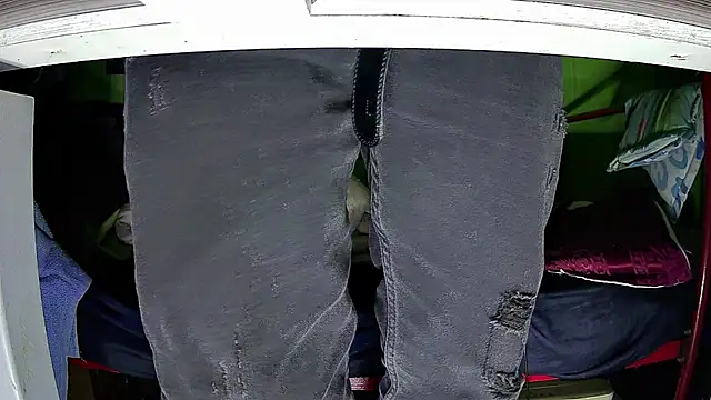 Walltaz online show from October 26, 4:03 am