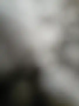 Snapshot of NiceHunter89 chatting on September 15, 2:51 pm NiceHunter89 online show from September 15, 2:51 pm