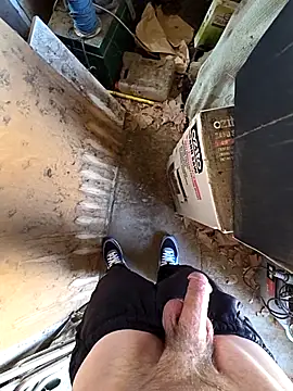 bighornycockup online show from October 14, 4:41 am