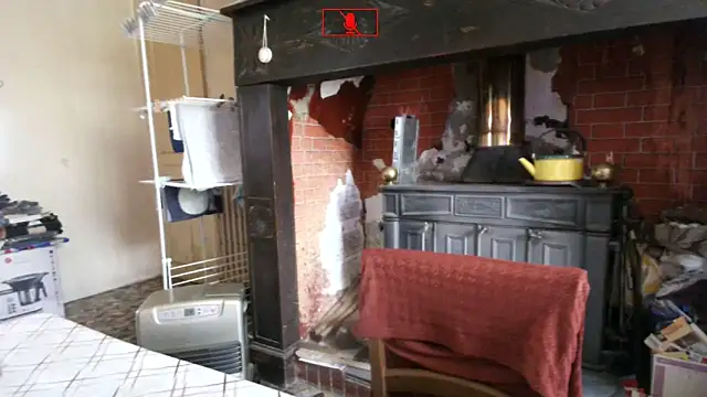 Ethangay online show from March 10, 9:15 am