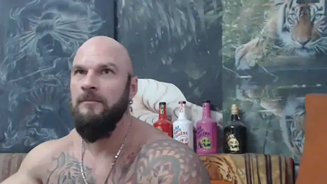 viking 30 online show from December 1, 1:47 pm