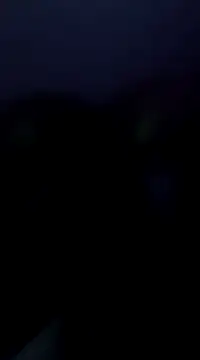 PrinceNoAlbert online show from December 28, 12:36 pm