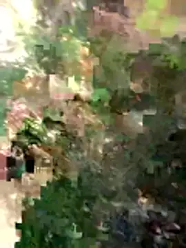 FinableKnee online show from March 26, 4:49 am