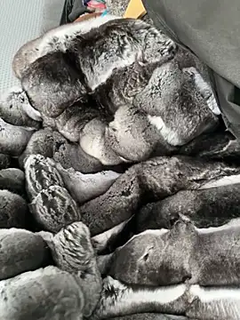 Furdale online show from October 28, 2:52 pm