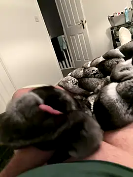 Furdale online show from October 30, 4:52 pm