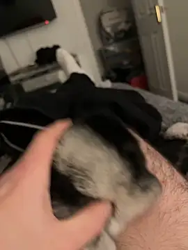 Furdale online show from January 17, 4:59 pm