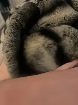 Furdale online show from February 17, 3:09 pm