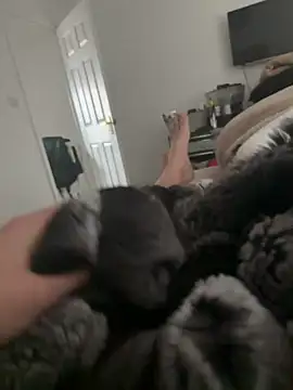 Furdale online show from March 16, 9:57 am