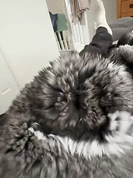 Furdale online show from April 16, 12:16 pm