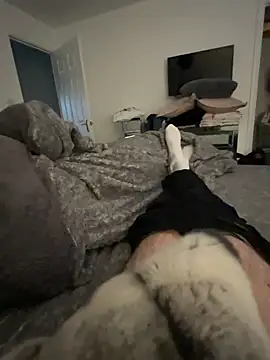 Furdale online show from December 15, 9:24 am